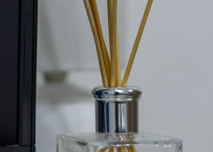 Ljilja 公寓 Banja Koviljača