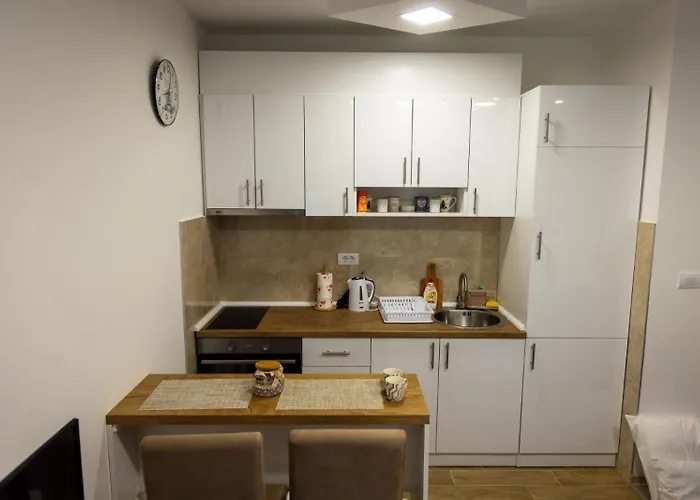 Ljilja 公寓 Banja Koviljača